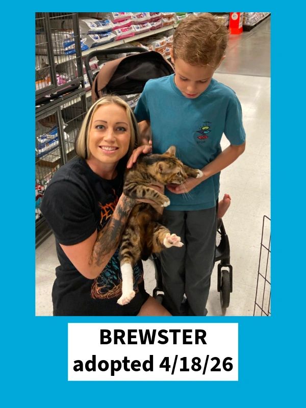 Brewster adopted