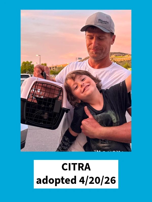 Citra adopted